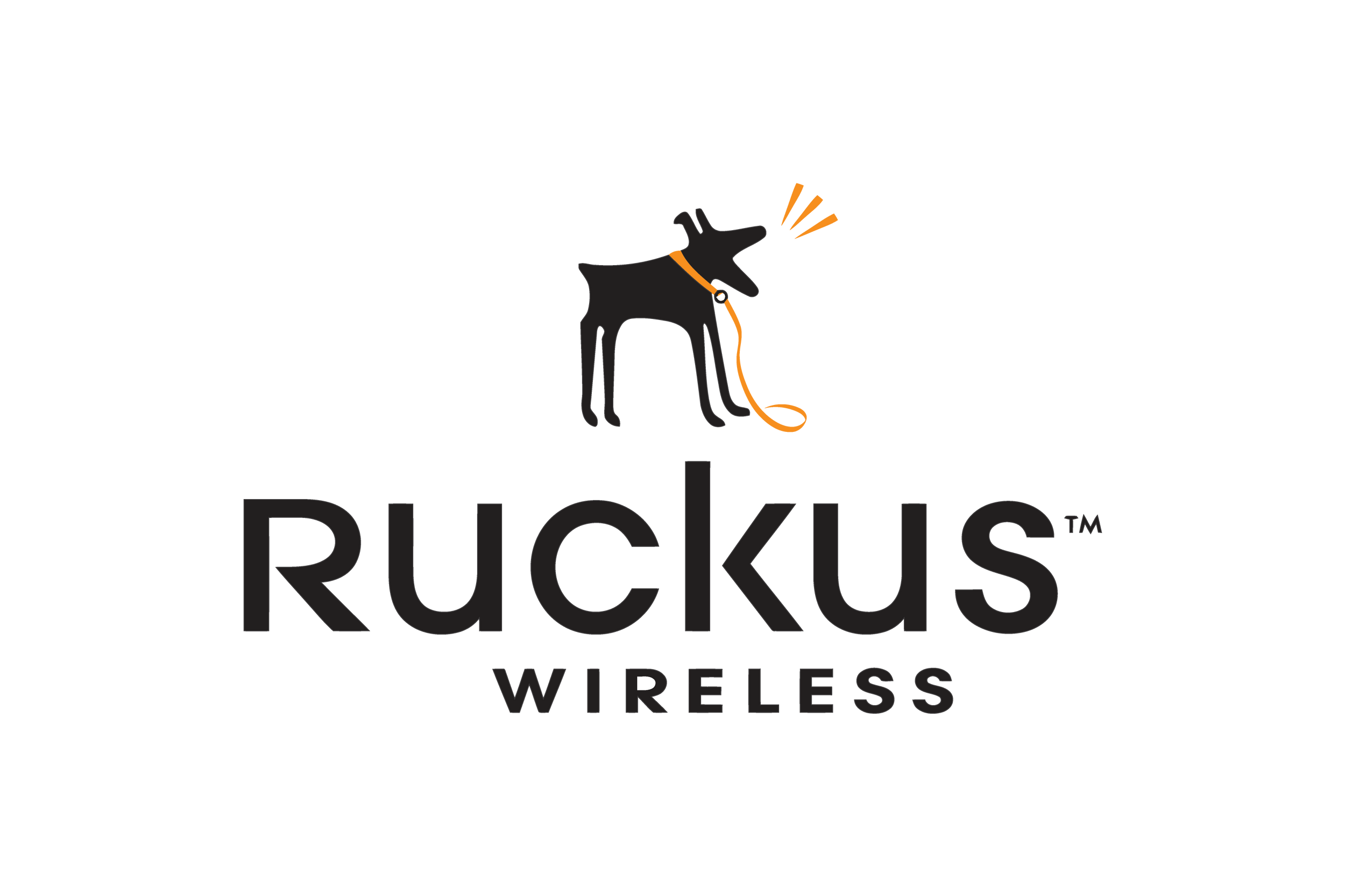 Ruckus Wireless Logo