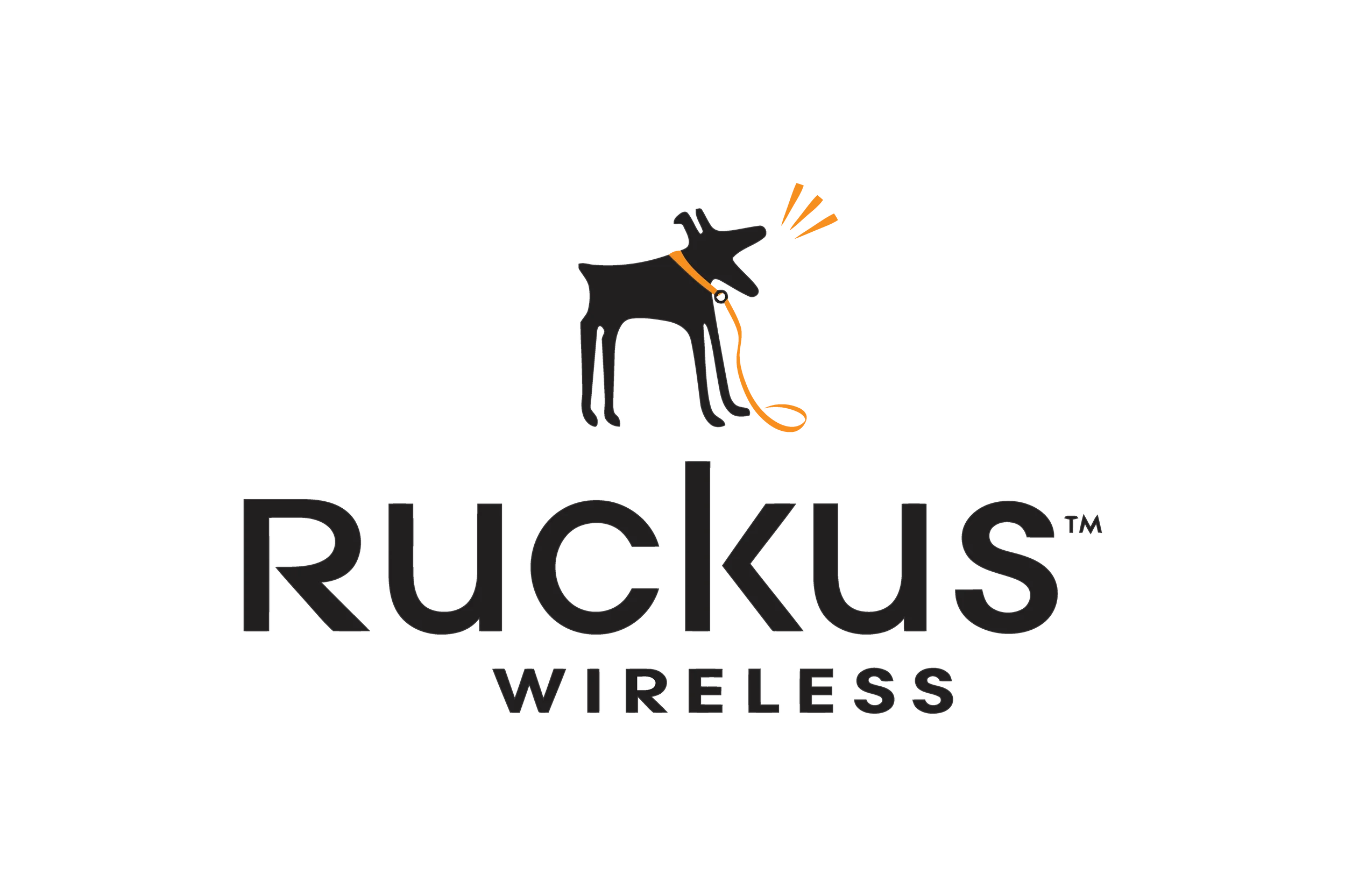 Ruckus Networks